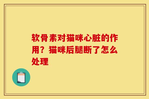 软骨素对猫咪的作用？猫咪后腿断了怎么处理