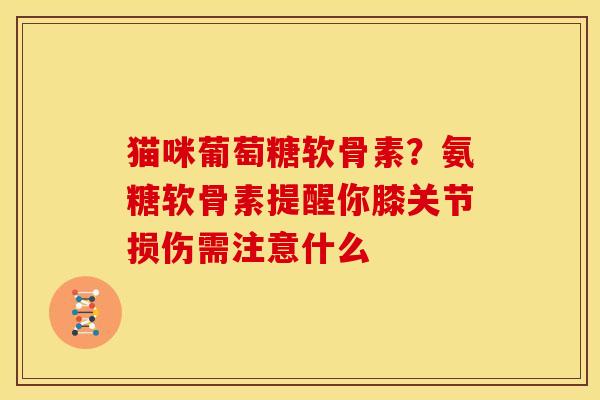 猫咪葡萄糖软骨素？氨糖软骨素提醒你膝关节损伤需注意什么