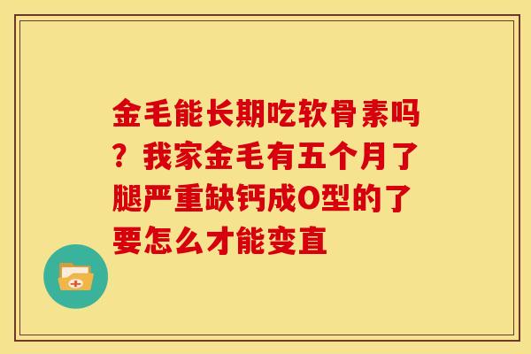 金毛能长期吃软骨素吗?我家金毛有五个月了腿严重缺钙成O型的了要怎么才能变直 金毛能长期吃软骨素吗?我家金毛有五个月了腿严重缺钙成O型的了要怎么才能变直
