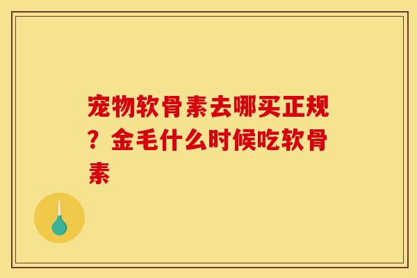 宠物软骨素去哪买正规?金毛什么时候吃软骨素 宠物软骨素去哪买正规?金毛什么时候吃软骨素
