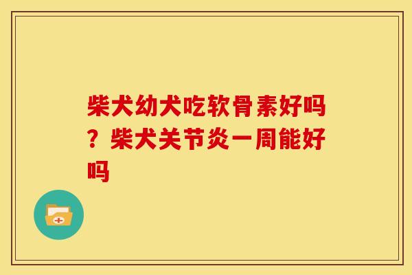柴犬幼犬吃软骨素好吗？柴犬一周能好吗