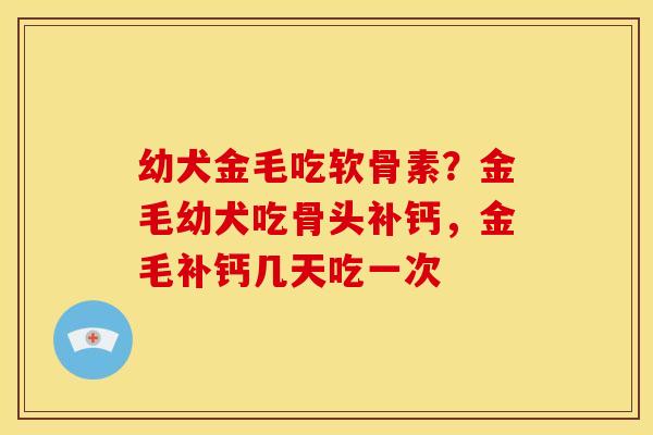 幼犬金毛吃软骨素?金毛幼犬吃骨头补钙,金毛补钙几天吃一次 幼犬金毛吃软骨素?金毛幼犬吃骨头补钙,金毛补钙几天吃一次