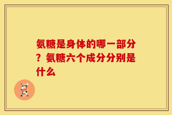 氨糖是身体的哪一部分？氨糖六个成分分别是什么