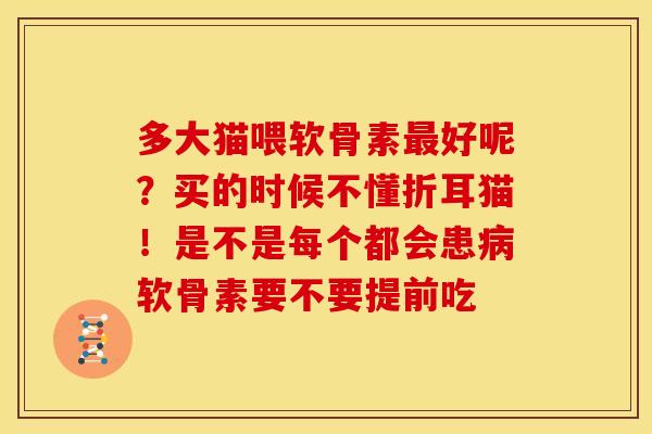 多大猫喂软骨素好呢?买的时候不懂折耳猫!是不是每个都会患软骨素要不要提前吃 多大猫喂软骨素好呢?买的时候不懂折耳猫!是不是每个都会患软骨素要不要提前吃