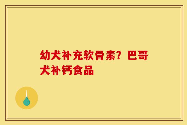 幼犬补充软骨素？巴哥犬补钙食品