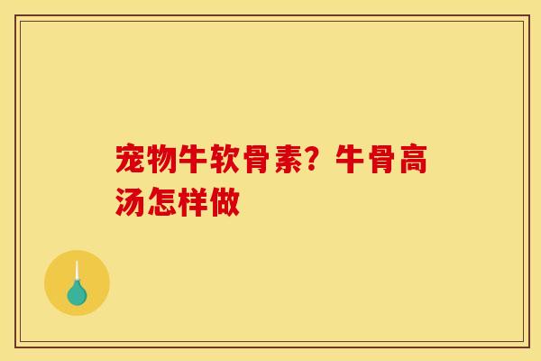 宠物牛软骨素？牛骨高汤怎样做