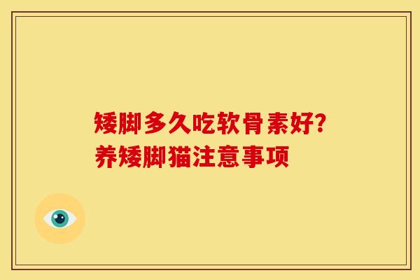 矮脚多久吃软骨素好？养矮脚猫注意事项