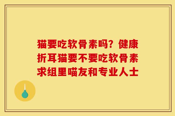 猫要吃软骨素吗？健康折耳猫要不要吃软骨素求组里喵友和专业人士