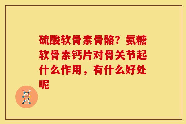 硫酸软骨素骨骼？氨糖软骨素钙片对骨关节起什么作用，有什么好处呢
