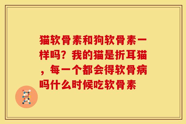 猫软骨素和狗软骨素一样吗？我的猫是折耳猫，每一个都会得软骨吗什么时候吃软骨素