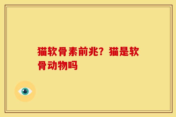 猫软骨素前兆?猫是软骨动物吗 猫软骨素前兆?猫是软骨动物吗