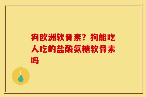 狗欧洲软骨素?狗能吃人吃的盐酸氨糖软骨素吗 狗欧洲软骨素?狗能吃人吃的盐酸氨糖软骨素吗