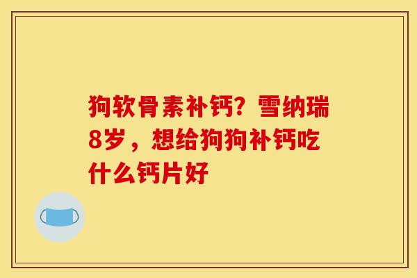 狗软骨素补钙?雪纳瑞8岁,想给狗狗补钙吃什么钙片好 狗软骨素补钙?雪纳瑞8岁,想给狗狗补钙吃什么钙片好