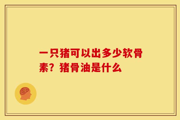 一只猪可以出多少软骨素？猪骨油是什么