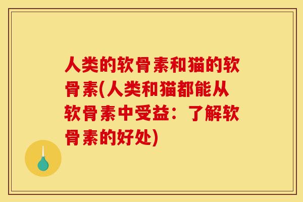 人类的软骨素和猫的软骨素(人类和猫都能从软骨素中受益:了解软骨素的好处) 人类的软骨素和猫的软骨素(人类和猫都能从软骨素中受益:了解软骨素的好处)