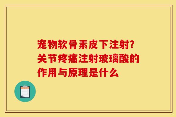 宠物软骨素皮下注射？关节注射玻璃酸的作用与原理是什么