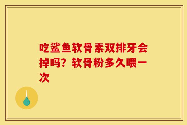吃鲨鱼软骨素双排牙会掉吗？软骨粉多久喂一次