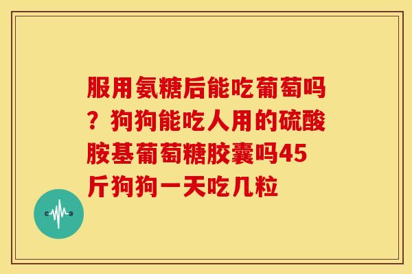 服用氨糖后能吃葡萄吗?狗狗能吃人用的硫酸胺基葡萄糖胶囊吗45斤狗狗一天吃几粒 服用氨糖后能吃葡萄吗?狗狗能吃人用的硫酸胺基葡萄糖胶囊吗45斤狗狗一天吃几粒