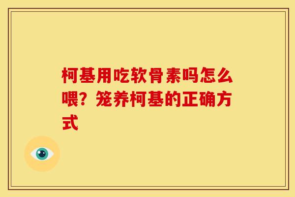 柯基用吃软骨素吗怎么喂?笼养柯基的正确方式 柯基用吃软骨素吗怎么喂?笼养柯基的正确方式