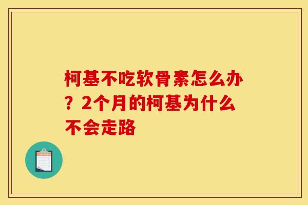 柯基不吃软骨素怎么办?2个月的柯基为什么不会走路 柯基不吃软骨素怎么办?2个月的柯基为什么不会走路