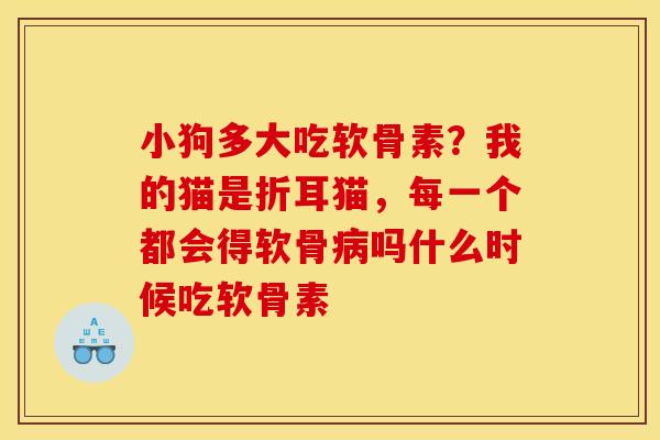 小狗多大吃软骨素?我的猫是折耳猫,每一个都会得软骨吗什么时候吃软骨素 小狗多大吃软骨素?我的猫是折耳猫,每一个都会得软骨吗什么时候吃软骨素