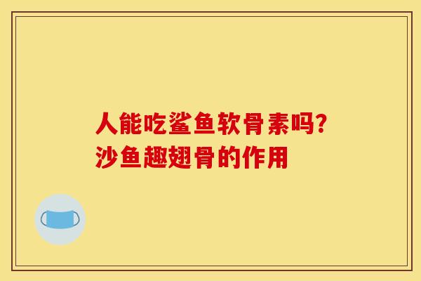 人能吃鲨鱼软骨素吗？沙鱼趣翅骨的作用