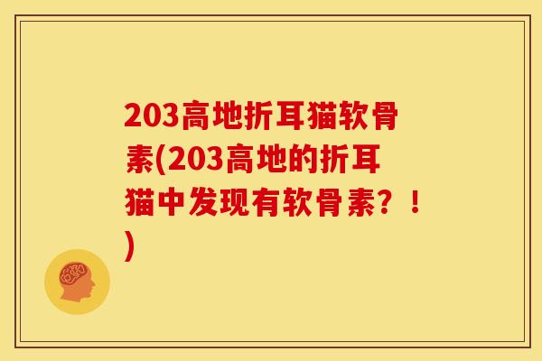 203高地折耳猫软骨素(203高地的折耳猫中发现有软骨素？！)