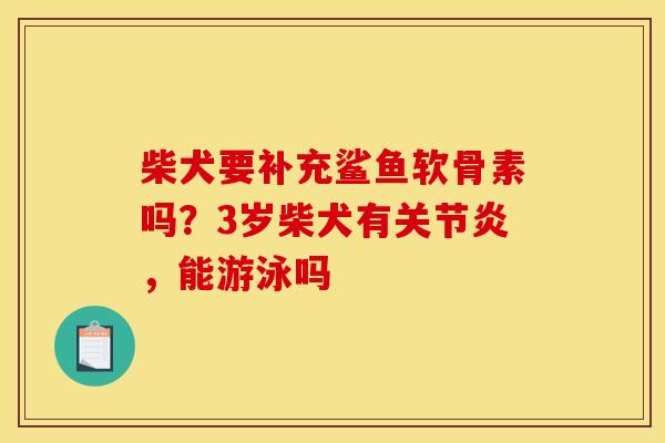 柴犬要补充鲨鱼软骨素吗？3岁柴犬有，能游泳吗