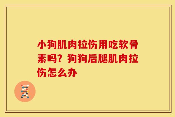 小狗肌肉拉伤用吃软骨素吗？狗狗后腿肌肉拉伤怎么办