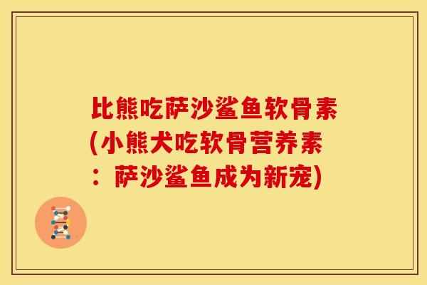 比熊吃萨沙鲨鱼软骨素(小熊犬吃软骨营养素:萨沙鲨鱼成为新宠) 比熊吃萨沙鲨鱼软骨素(小熊犬吃软骨营养素:萨沙鲨鱼成为新宠)