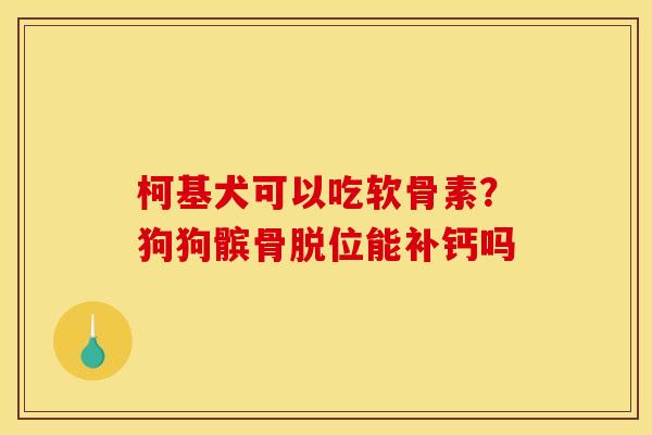 柯基犬可以吃软骨素?狗狗髌骨脱位能补钙吗 柯基犬可以吃软骨素?狗狗髌骨脱位能补钙吗