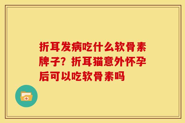 折耳发吃什么软骨素牌子？折耳猫意外怀孕后可以吃软骨素吗