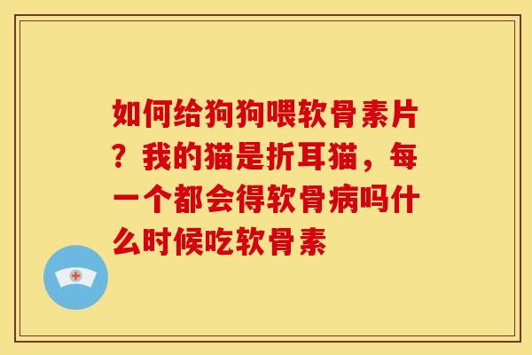 如何给狗狗喂软骨素片？我的猫是折耳猫，每一个都会得软骨吗什么时候吃软骨素