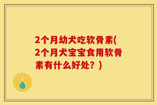 2个月幼犬吃软骨素(2个月犬宝宝食用软骨素有什么好处？)