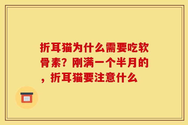 折耳猫为什么需要吃软骨素?刚满一个半月的,折耳猫要注意什么 折耳猫为什么需要吃软骨素?刚满一个半月的,折耳猫要注意什么