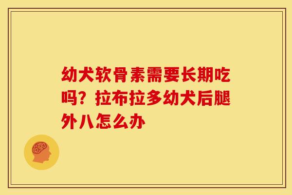 幼犬软骨素需要长期吃吗?拉布拉多幼犬后腿外八怎么办 幼犬软骨素需要长期吃吗?拉布拉多幼犬后腿外八怎么办