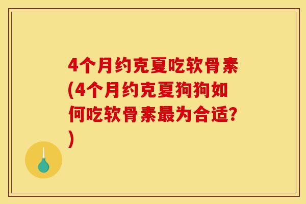 4个月约克夏吃软骨素(4个月约克夏狗狗如何吃软骨素为合适？)