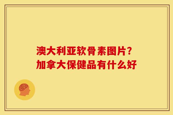 澳大利亚软骨素图片?加拿大保健品有什么好 澳大利亚软骨素图片?加拿大保健品有什么好