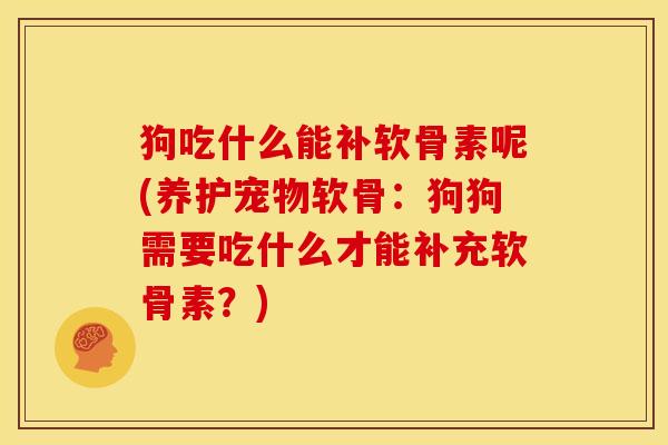 狗吃什么能补软骨素呢(养护宠物软骨:狗狗需要吃什么才能补充软骨素?) 狗吃什么能补软骨素呢(养护宠物软骨:狗狗需要吃什么才能补充软骨素?)