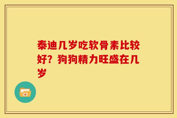 泰迪几岁吃软骨素比较好？狗狗精力旺盛在几岁