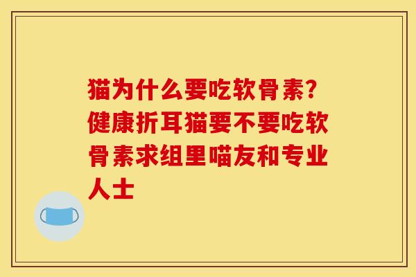 猫为什么要吃软骨素?健康折耳猫要不要吃软骨素求组里喵友和专业人士 猫为什么要吃软骨素?健康折耳猫要不要吃软骨素求组里喵友和专业人士