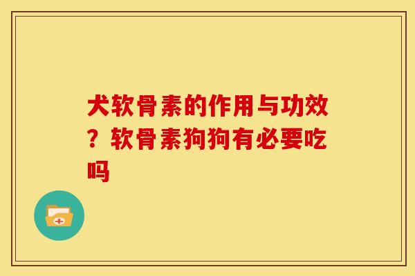 犬软骨素的作用与功效?软骨素狗狗有必要吃吗 犬软骨素的作用与功效?软骨素狗狗有必要吃吗