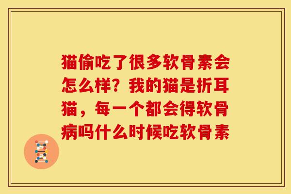 猫偷吃了很多软骨素会怎么样?我的猫是折耳猫,每一个都会得软骨吗什么时候吃软骨素 猫偷吃了很多软骨素会怎么样?我的猫是折耳猫,每一个都会得软骨吗什么时候吃软骨素