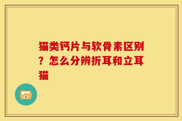 猫类钙片与软骨素区别?怎么分辨折耳和立耳猫 猫类钙片与软骨素区别?怎么分辨折耳和立耳猫