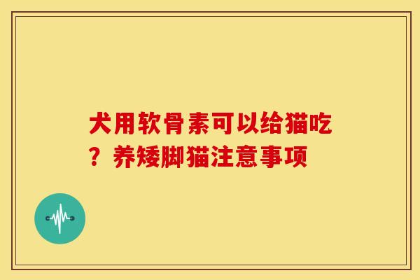 犬用软骨素可以给猫吃?养矮脚猫注意事项 犬用软骨素可以给猫吃?养矮脚猫注意事项