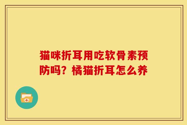 猫咪折耳用吃软骨素吗?橘猫折耳怎么养 猫咪折耳用吃软骨素吗?橘猫折耳怎么养
