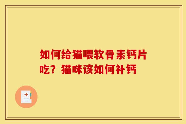 如何给猫喂软骨素钙片吃？猫咪该如何补钙