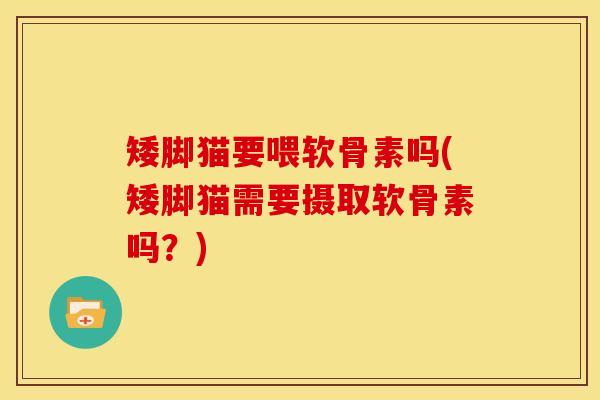 矮脚猫要喂软骨素吗(矮脚猫需要摄取软骨素吗？)