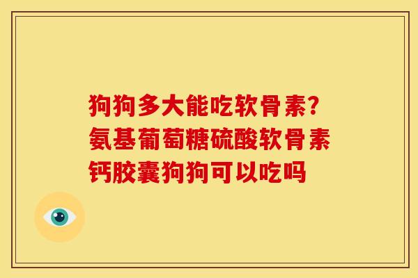 狗狗多大能吃软骨素？氨基葡萄糖硫酸软骨素钙胶囊狗狗可以吃吗