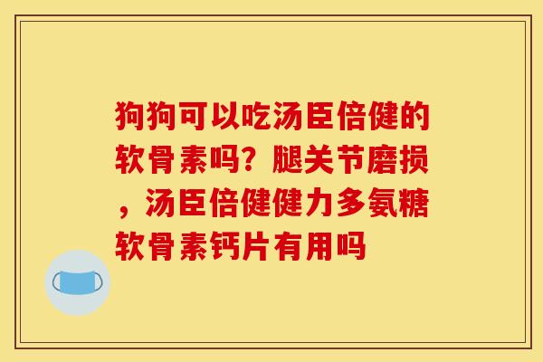 狗狗可以吃汤臣倍健的软骨素吗?腿关节磨损,汤臣倍健健力多氨糖软骨素钙片有用吗 狗狗可以吃汤臣倍健的软骨素吗?腿关节磨损,汤臣倍健健力多氨糖软骨素钙片有用吗